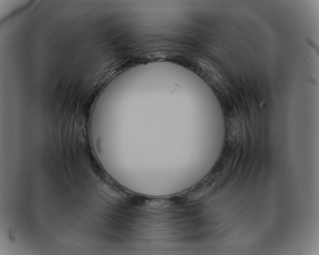 X0000092100414200709121113