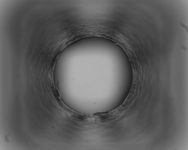 X0000092100415200709121113