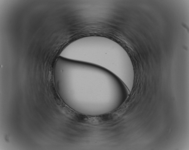 X0000092100417200709121113