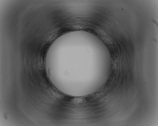 X0000092100418200709121113