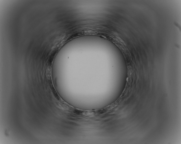 X0000092100419200709121113