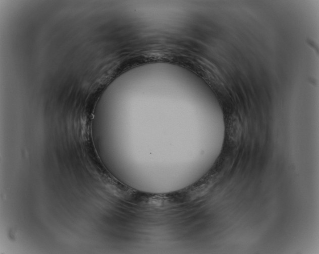 X0000092100420200709121113