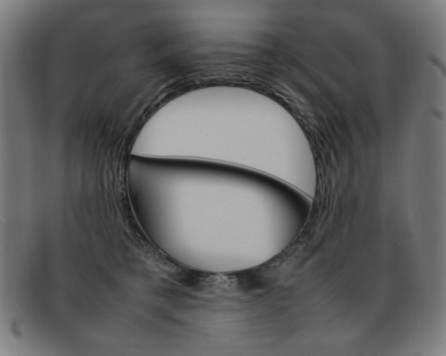 X0000092100421200709121113