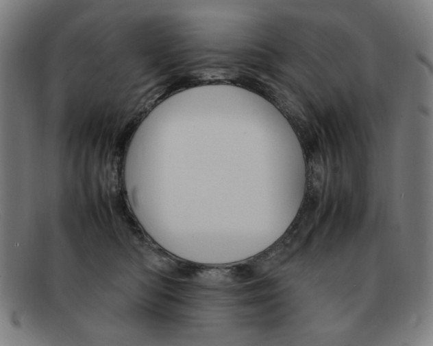 X0000092100422200709121113
