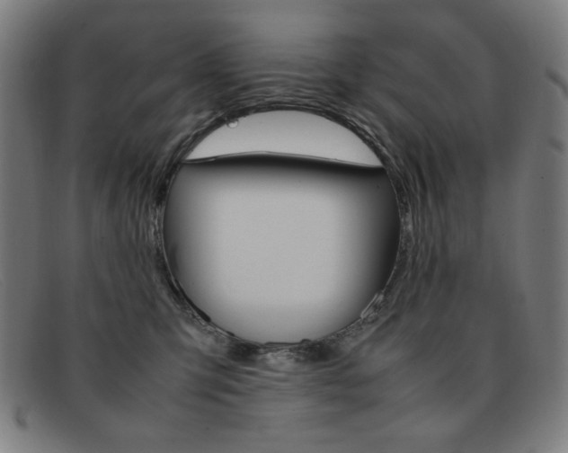 X0000092100423200709121113