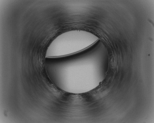 X0000092100424200709121113