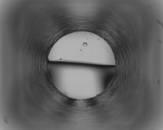 X0000092100425200709121113