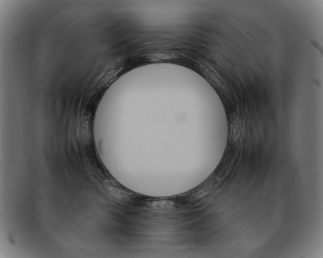 X0000092100426200709121113