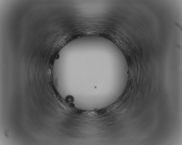 X0000092100427200709121113