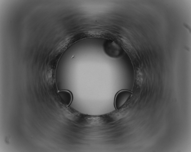 X0000092100428200709121113