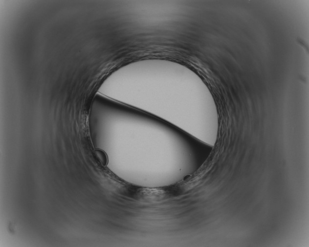 X0000092100429200709121113