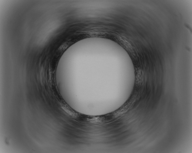X0000092100430200709121113