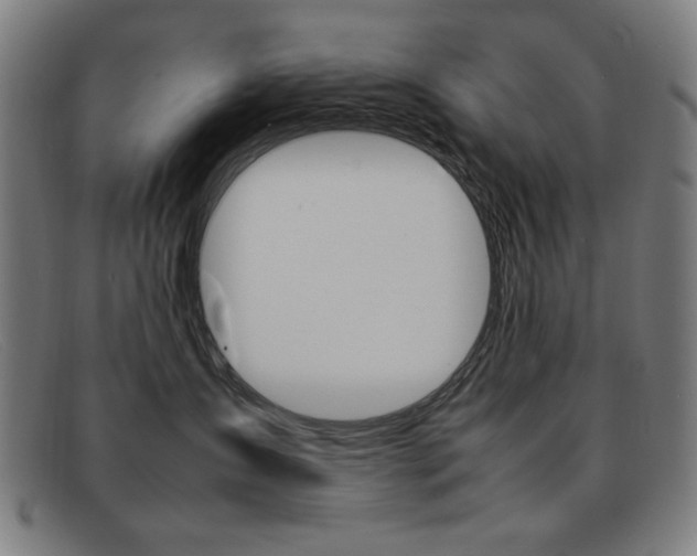 X0000092100431200709121113
