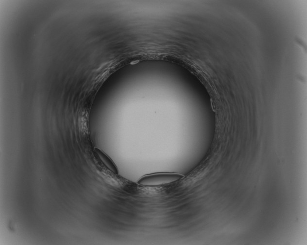X0000092100432200709121113