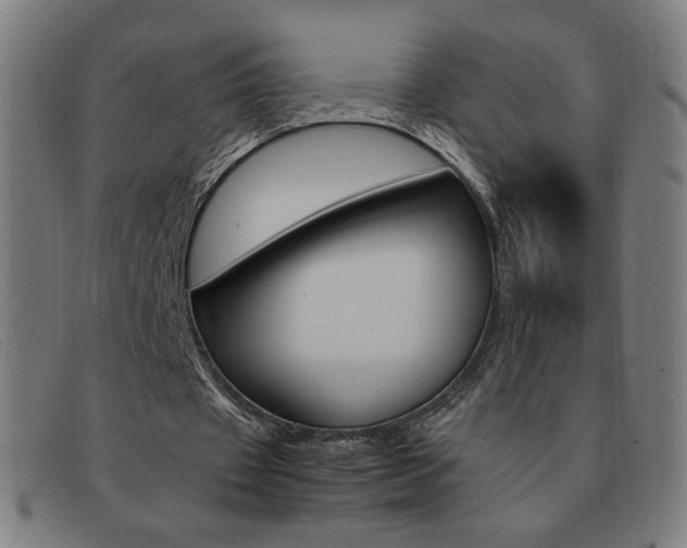 X0000092100433200709121113
