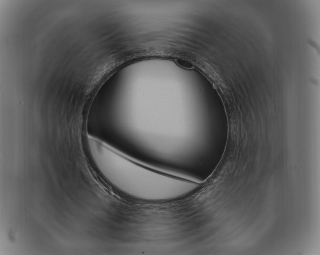 X0000092100434200709121113