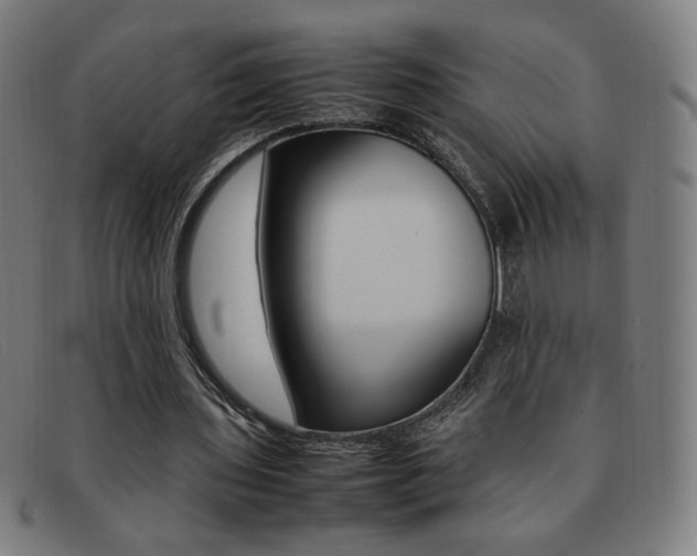 X0000092100435200709121113