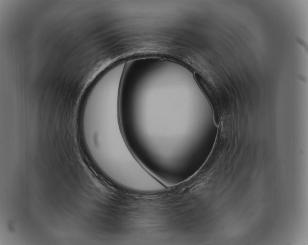 X0000092100436200709121113