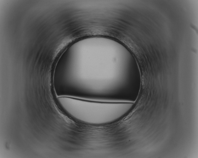 X0000092100438200709121113