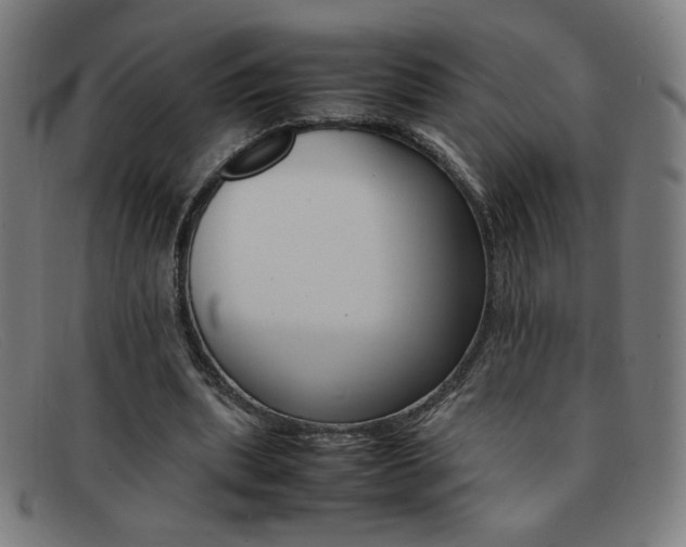 X0000092100439200709121113