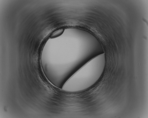 X0000092100440200709121113