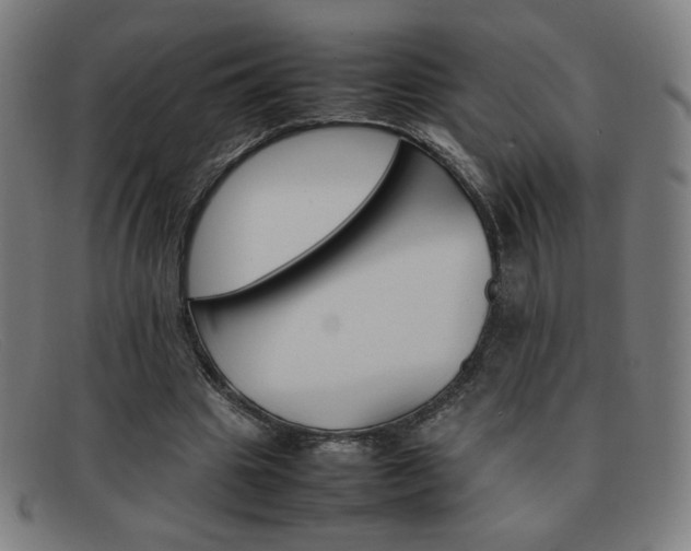 X0000092100441200709121113