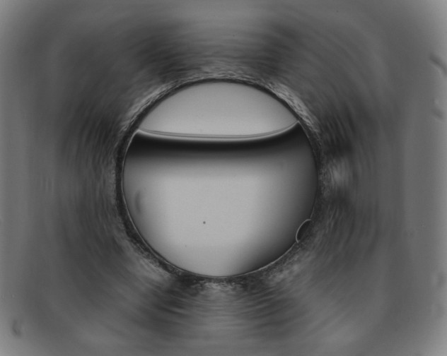 X0000092100442200709121113