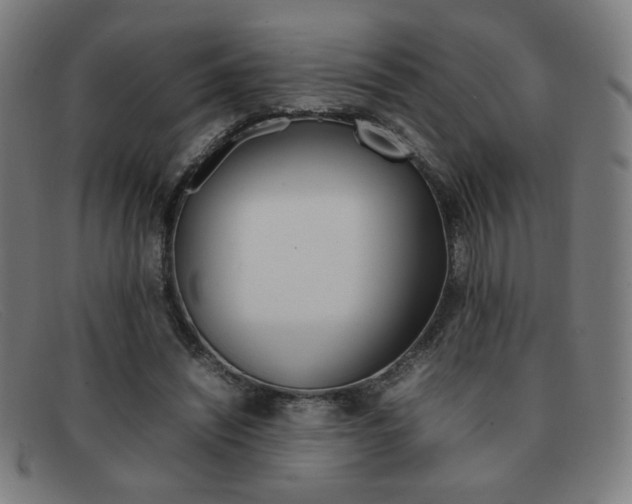 X0000092100444200709121113