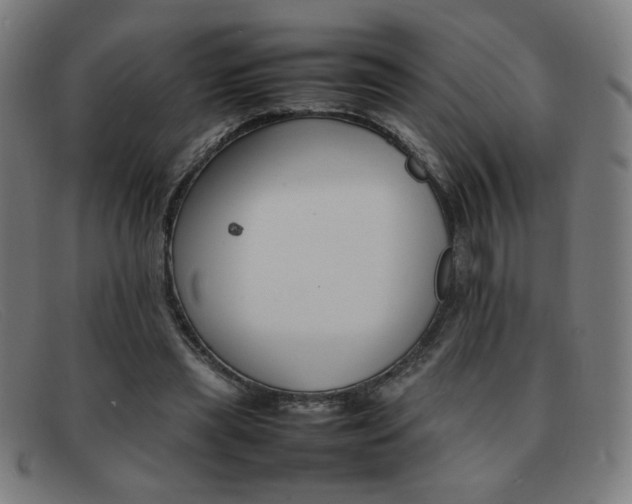 X0000092100445200709121113
