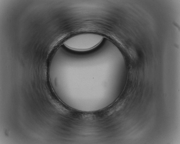 X0000092100446200709121113