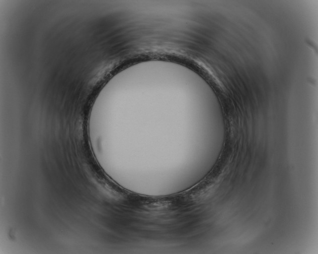 X0000092100447200709121113