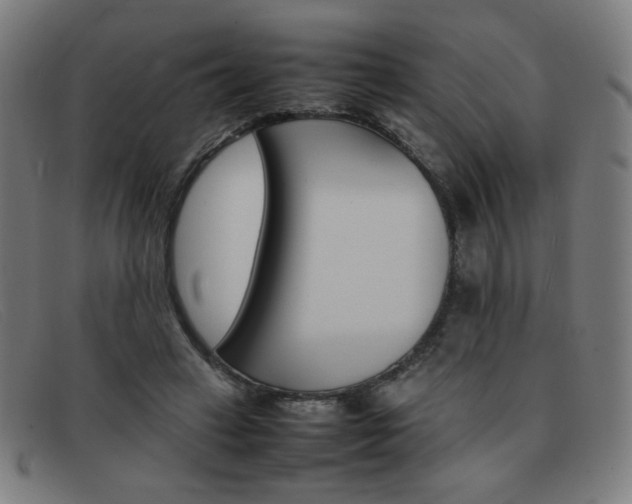 X0000092100449200709121113