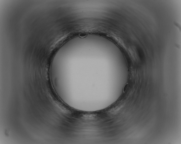 X0000092100450200709121113