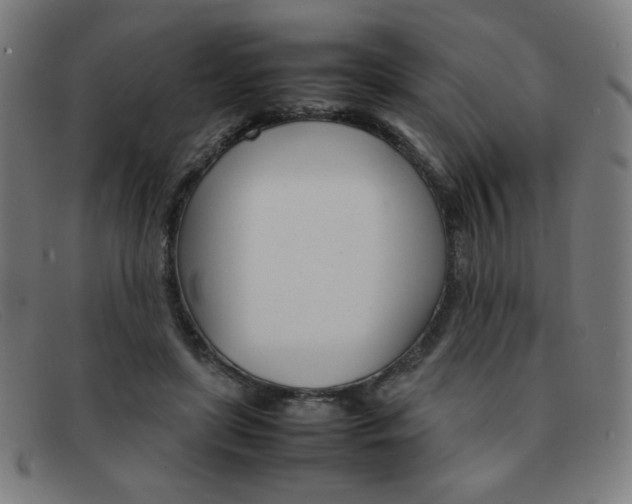 X0000092100451200709121113