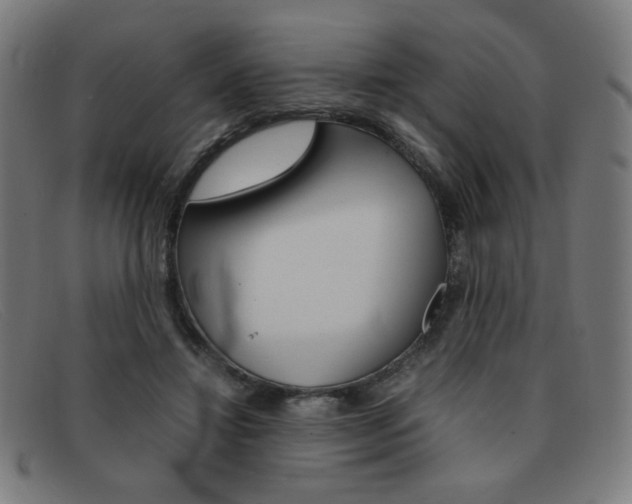 X0000092100452200709121113