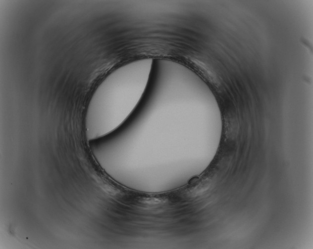 X0000092100453200709121113