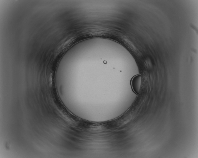 X0000092100454200709121113