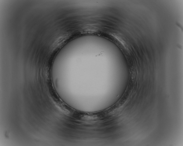 X0000092100455200709121113