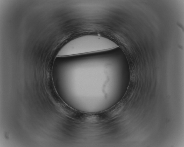 X0000092100456200709121113