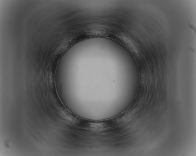 X0000092100457200709121113