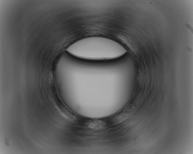 X0000092100459200709121113