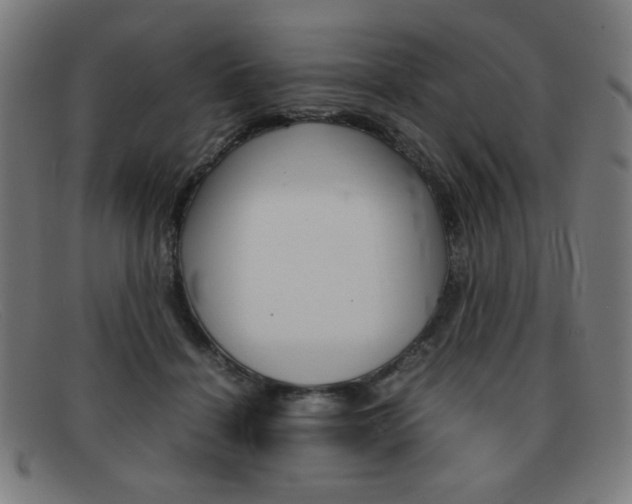 X0000092100460200709121113