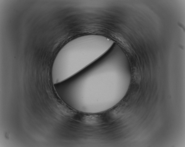 X0000092100461200709121113