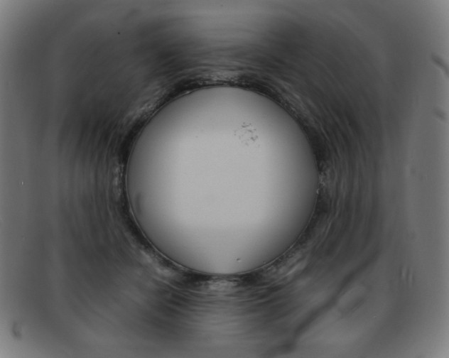 X0000092100462200709121113