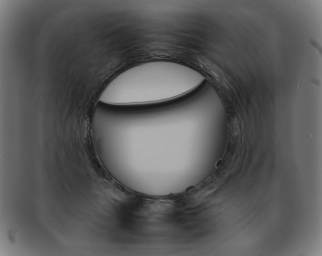 X0000092100463200709121113