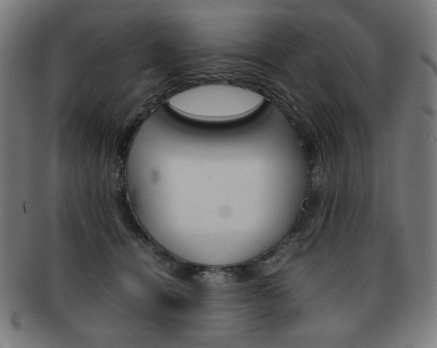 X0000092100464200709121113