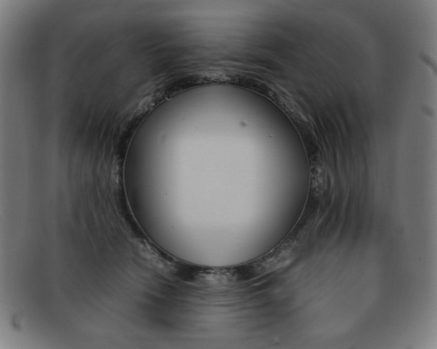 X0000092100466200709121113