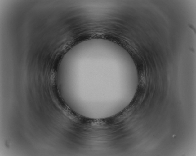 X0000092100468200709121113