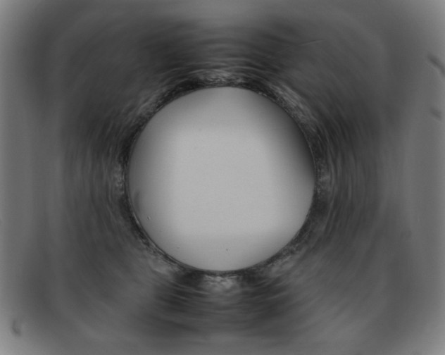 X0000092100469200709121113