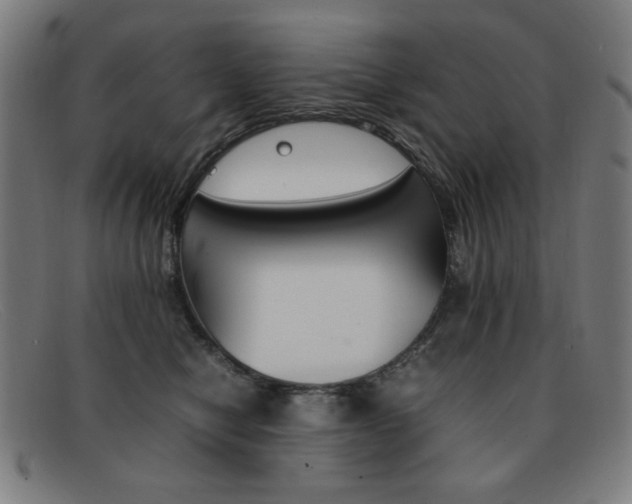X0000092100470200709121113